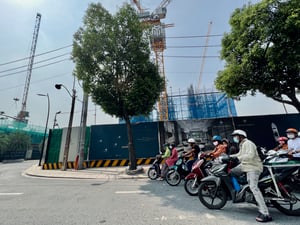 Đậu xe chờ đèn đỏ dưới tán cây