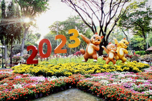 Xuân Quý Mão 2023