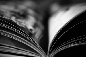 Close up of isolated open book hinge
