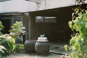 Lu nước hứng nước mưa