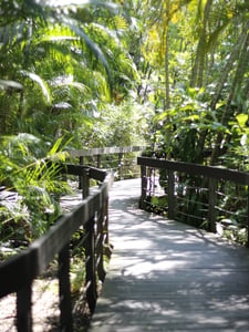 Con đường màu xanh
