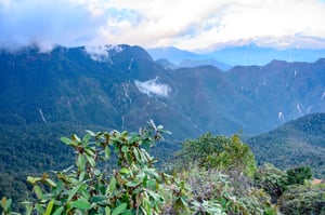 Xương sống khủng long