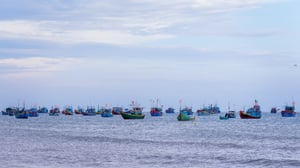 Đoàn thuyền đánh cá