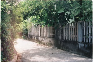 Con hẻm nhỏ bình yên