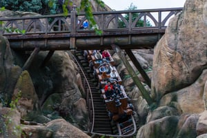 People Emotions on a Roller Coaster