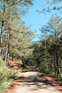 Road to Ankroet Dam