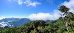 Xương sống khủng long