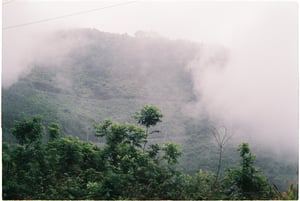 Fog flowing down the mountain