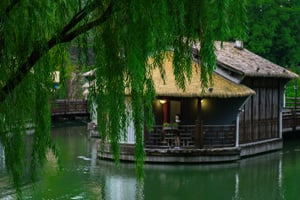 Liễu rũ và Khách sạn bên hồ