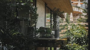 Glass Balcony With Trees