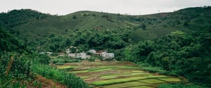 Ruộng bậc thang Sơn La