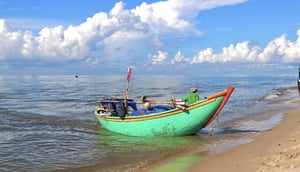 Thuyền đánh cá cập bến