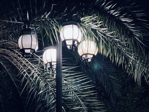 Sad light bulbs