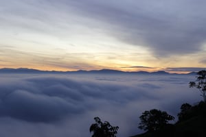 Rạng đông