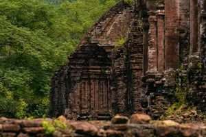Tháp chàm rêu phong phủ khắp