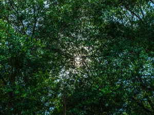 Tamron 28-75mm Flare at f/20