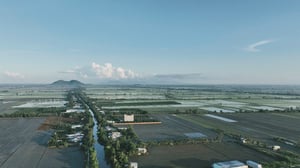 Cánh đồng vô tận