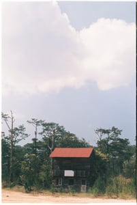 Căn nhà gỗ bên rừng thông