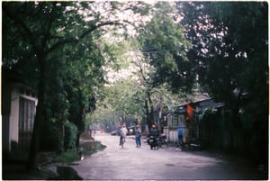 Góc đường rợp cây xanh