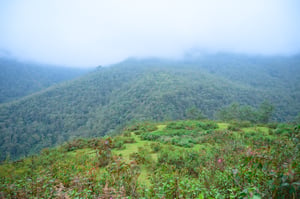Phong cảnh Sàng Ma Sáo