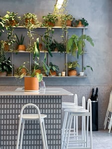 Một quán cafe xanh mướt