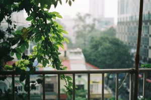 Mưa rơi bên phố