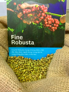 Robusta Coffee