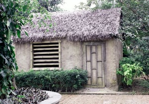 Ngôi nhà tranh