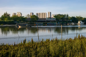 Chiếc ghe rẽ nước