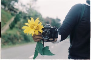 Flower and camera