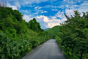 Road to Sustainable Green