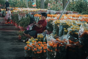 Thanh niên bán hoa Tết