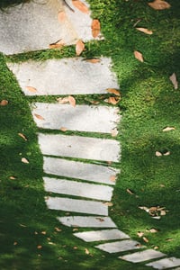 Random Patterns: Gạch lát trên cỏ
