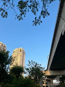 Trăng mọc lúc hoàng hôn