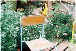 Một góc vườn nhỏ