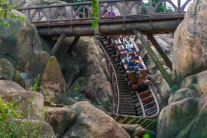 People Emotions on a Roller Coaster