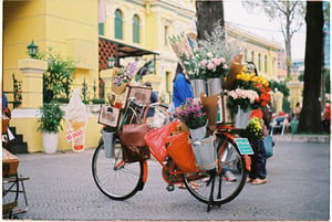 Một chiếc xe hoa