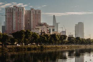 Hàng cây ven sông