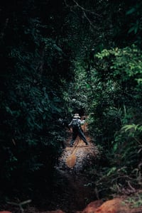 Lối nhỏ vào rừng