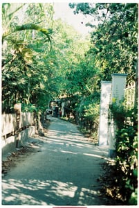 Con ngõ nhỏ ở miền quê