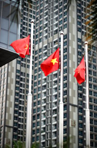 Vietnam Flag in front of a building