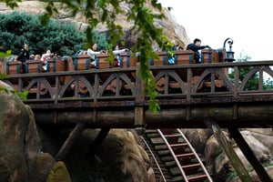 People Emotions on a Roller Coaster