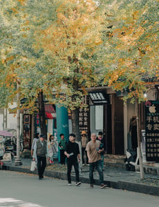 Đi dạo ở cổ trấn