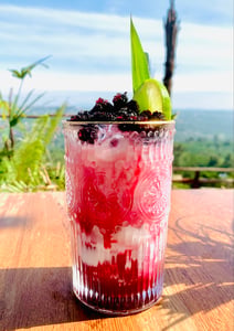 Mulberry Yogurt