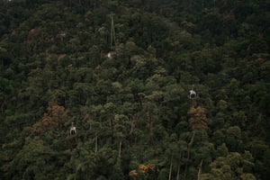 Cable cabins over the jungle