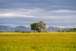 Điện gió Đầm Nại