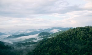 Săn mây sáng sớm ở An Lão, Bình Định
