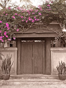 The Bougainvillea Archway