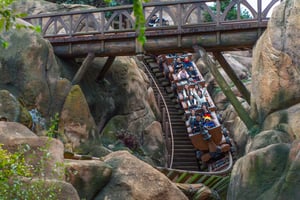 People Emotions on a Roller Coaster