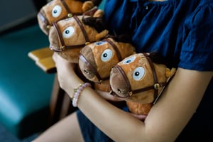 Cô gái sưu tầm Mã Tiểu Dã